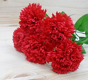 비누 꽃- 카네이션 빨강 (5송이)